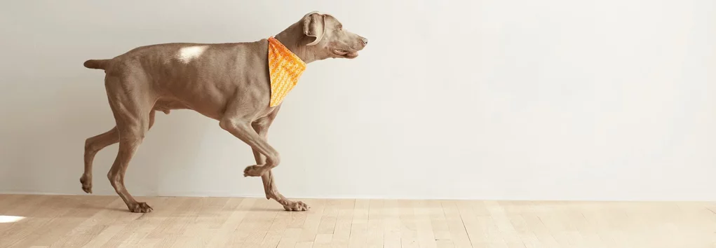 9434ba5d53e5d851443e7d4aa125ff4c_6