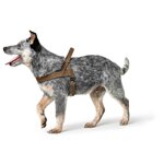 pettorina-norvegese-hunting-marrone