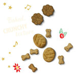 calendario-dellavvento-per-cane