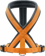 harness-london-comfort-arancio