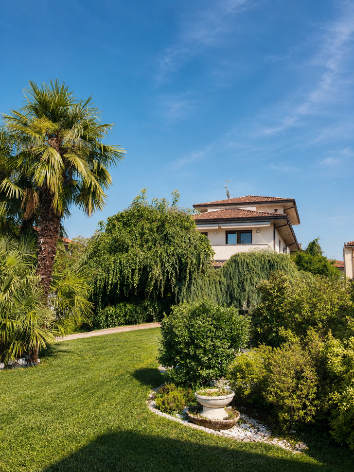 vista frontale