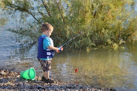 fishing-1814486_960_720.jpeg