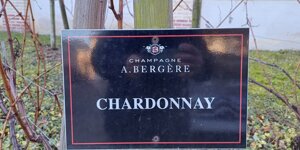 champagne%20a%20bergere%20(3).jpeg