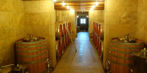 cantina%20paolo%20bea%20montefalco%20pg%20(6).jpeg