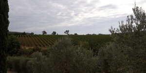 cantina%20corte%20dei%20venti%20montalcino%20si%20(6).jpeg