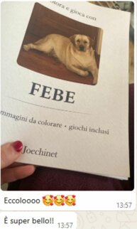 libro.jpeg