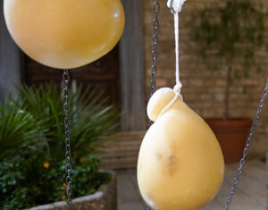 Reportage Wine & Food Festival