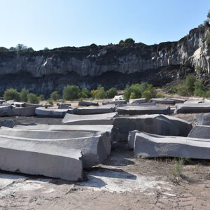 dsc_0709.jpeg dsc_0709.jpeg