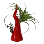 corno-portafortuna-in-ceramica-da-arredo-con-piantine-di-tillandsia-fatto-a-mano-in-italia