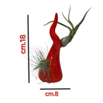 corno-portafortuna-in-ceramica-da-arredo-con-piantine-di-tillandsia-fatto-a-mano-in-italia