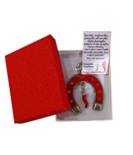 cornetto-portafortuna-con-ferro-di-cavallo-portachiavi-in-metallo-con-confezione-regalo