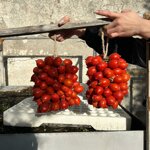 pomodoro-del-piennolo-del-vesuvio-produzione-artigianale-2-grappoli-da-circa-15-kg