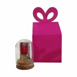 campana-portafortuna-con-corna-scaramantiche-e-veduta-di-napoli-in-scatolo-regalo