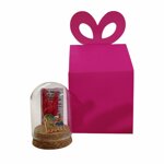 campana-portafortuna-con-corna-scaramantiche-e-veduta-di-napoli-in-scatolo-regalo