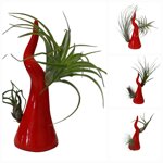 corno-portafortuna-in-ceramica-da-arredo-con-piantine-di-tillandsia-fatto-a-mano-in-italia