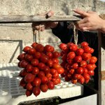 pomodoro-del-piennolo-del-vesuvio-produzione-artigianale-2-grappoli-da-circa-15-kg