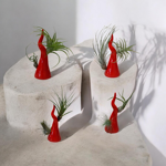 corno-portafortuna-in-ceramica-da-arredo-con-piantine-di-tillandsia-fatto-a-mano-in-italia