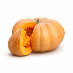 piantine-di-zucca-tonda-e-lunga