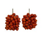 pomodoro-del-piennolo-del-vesuvio-produzione-artigianale-2-grappoli-da-circa-15-kg