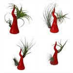 corno-portafortuna-in-ceramica-da-arredo-con-piantine-di-tillandsia-fatto-a-mano-in-italia