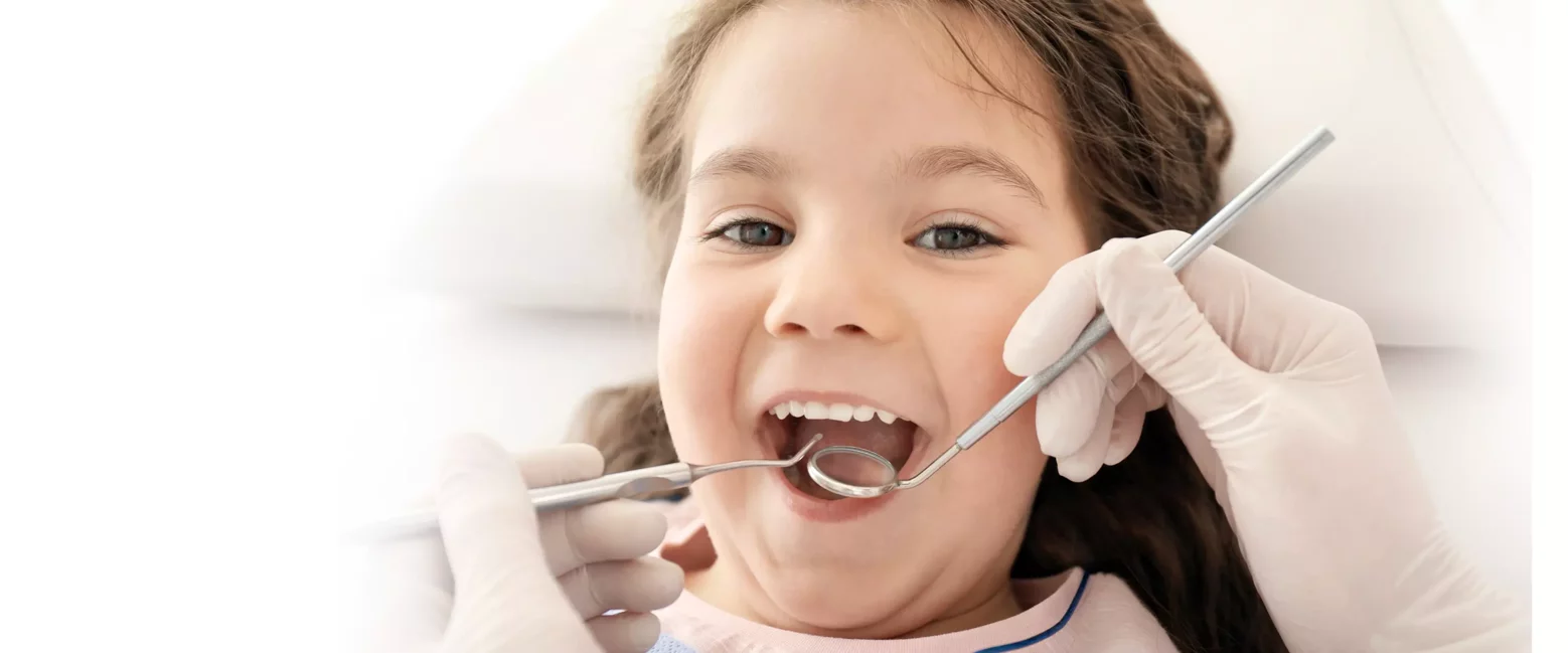 banner sito polodent (1)