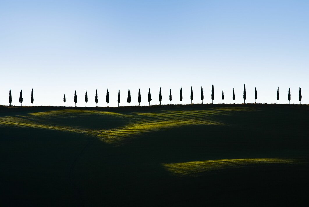 jack-seeds-2z-nrpqlb5i-unsplash