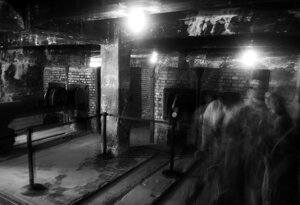 45-img_4094.jpeg