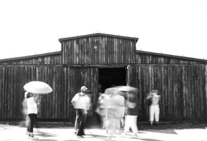 47-img_4096.jpeg