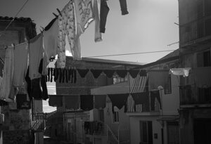 _img0552.jpeg
