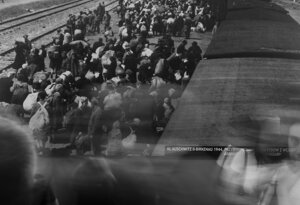 19-img_4076.jpeg