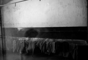 49-img_4098.jpeg