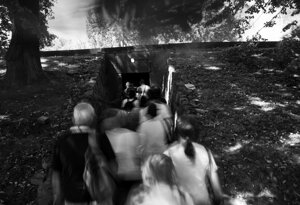 31-img_4091.jpeg