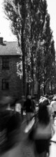 AUSCHWITZ - GIOVANNI RUVOLO FOTOGRAFIA