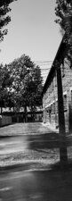 AUSCHWITZ - GIOVANNI RUVOLO FOTOGRAFIA