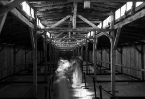 46-img_4095.jpeg
