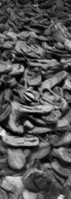 AUSCHWITZ - GIOVANNI RUVOLO FOTOGRAFIA