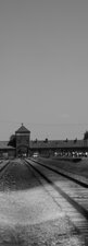 AUSCHWITZ - GIOVANNI RUVOLO FOTOGRAFIA