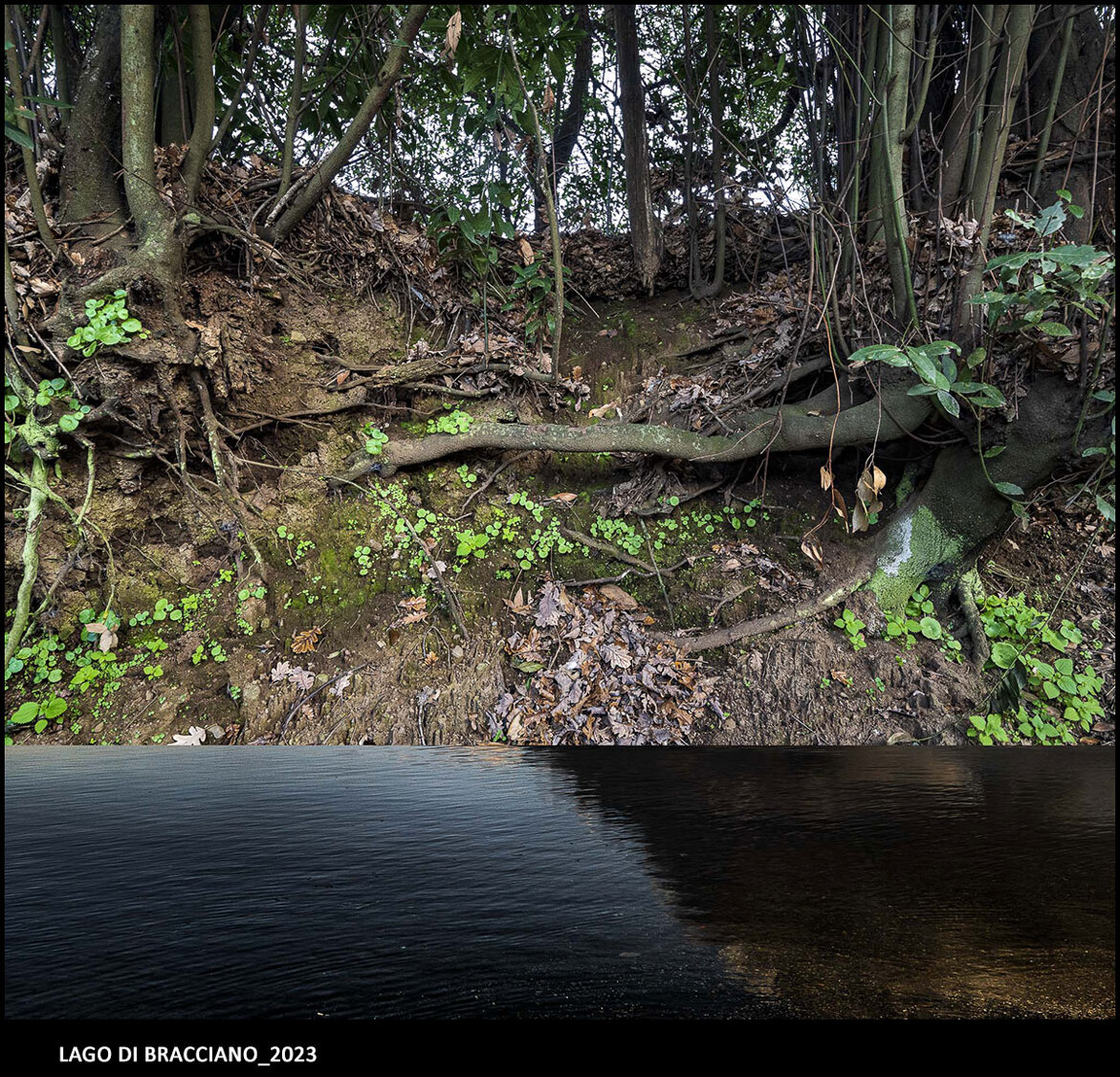 lago di bracciano_2023_05.jpeg