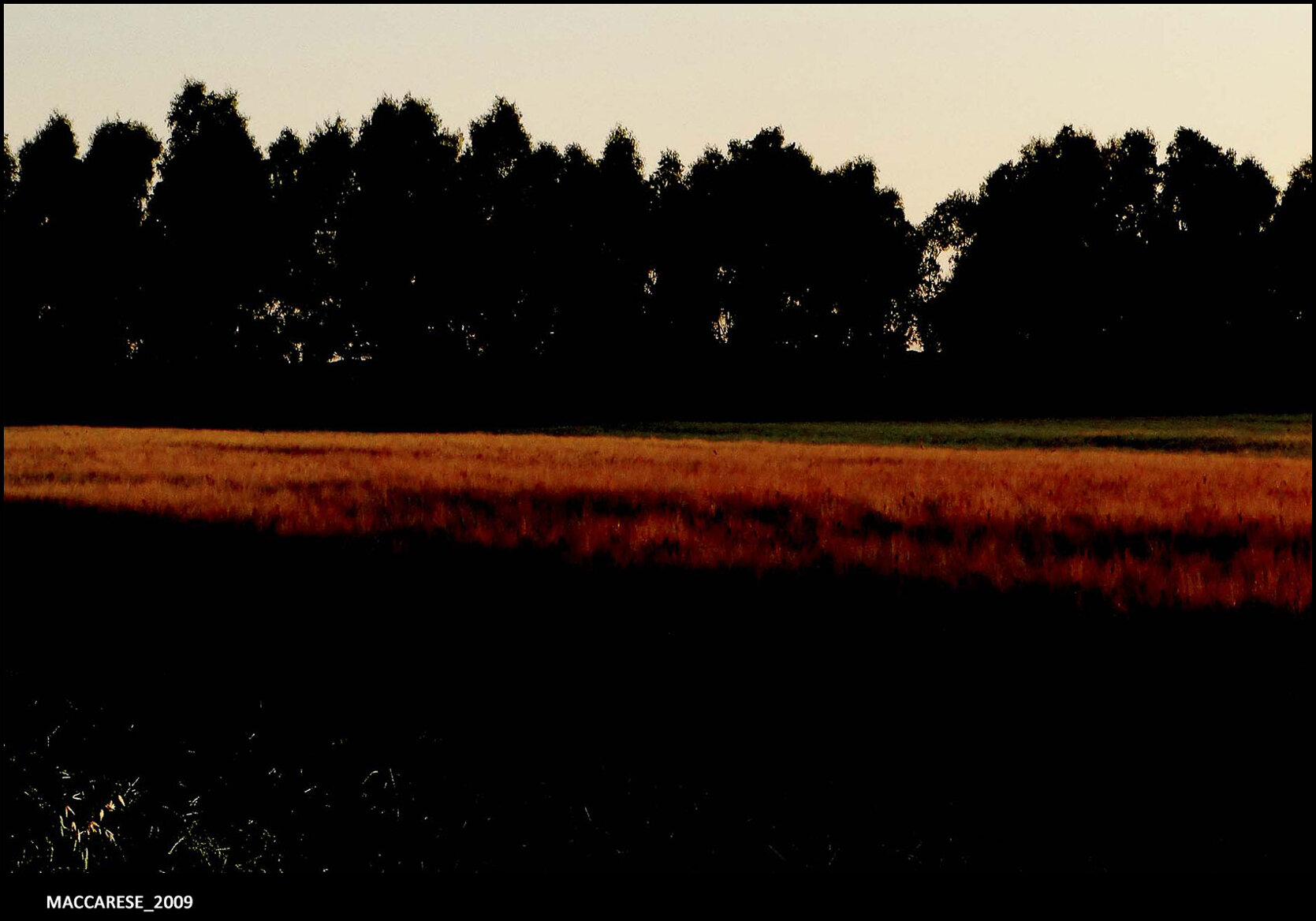 06_maccarese_2009.jpeg 06_maccarese_2009.jpeg