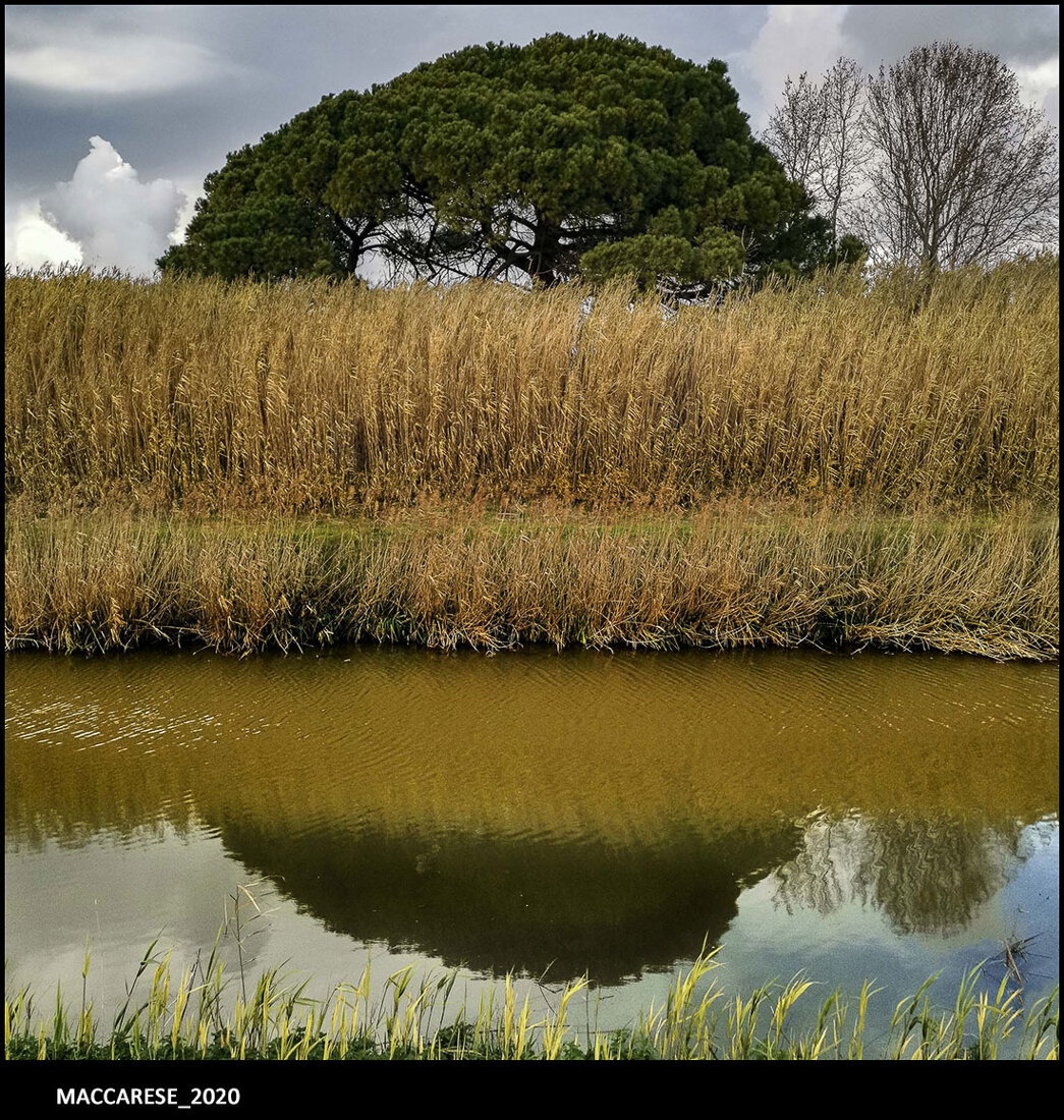 22_maccarese_2020.jpeg 22_maccarese_2020.jpeg