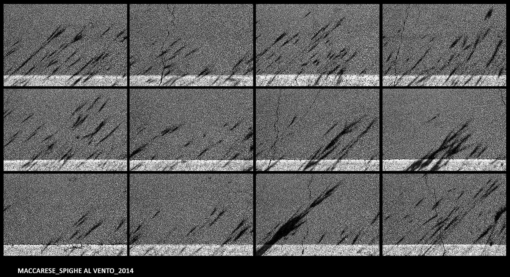 maccarese_spighe al vento_2014_01.jpeg