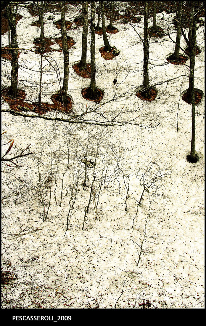 11_pescasseroli_2009.jpeg 11_pescasseroli_2009.jpeg