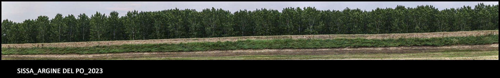 14_sissa_2023_03.jpeg 14_sissa_2023_03.jpeg