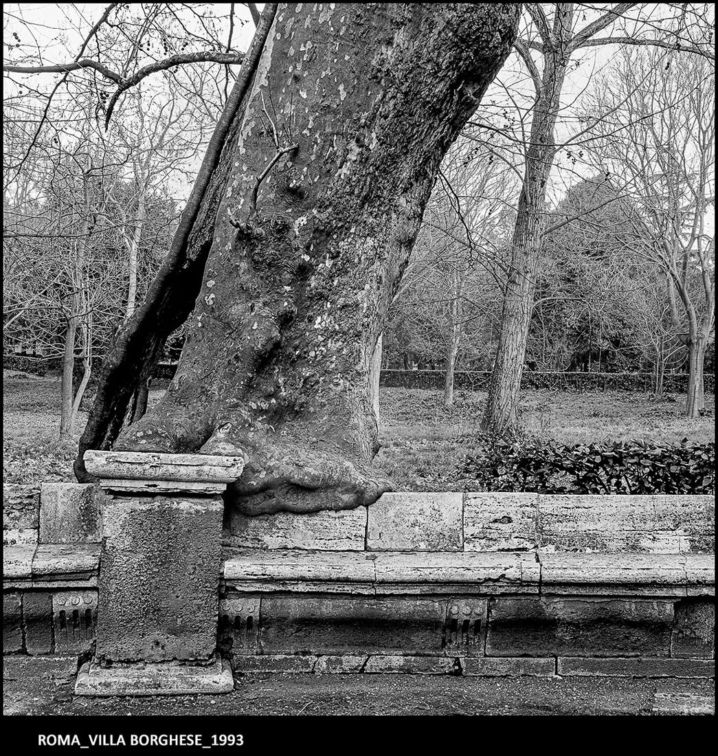 28_roma_villa borghese_1993.jpeg 28_roma_villa borghese_1993.jpeg