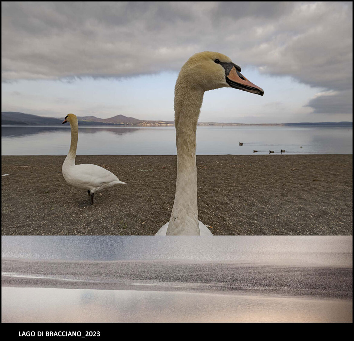 lago di bracciano_2023_01.jpeg