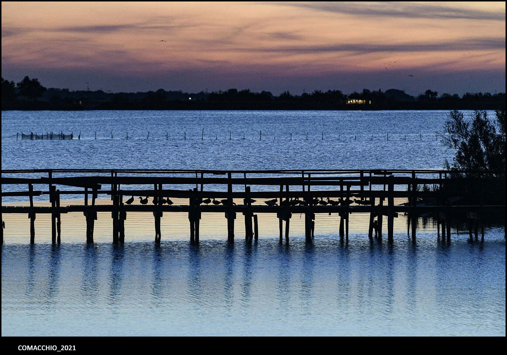 18_comacchio_2025.jpeg 18_comacchio_2025.jpeg