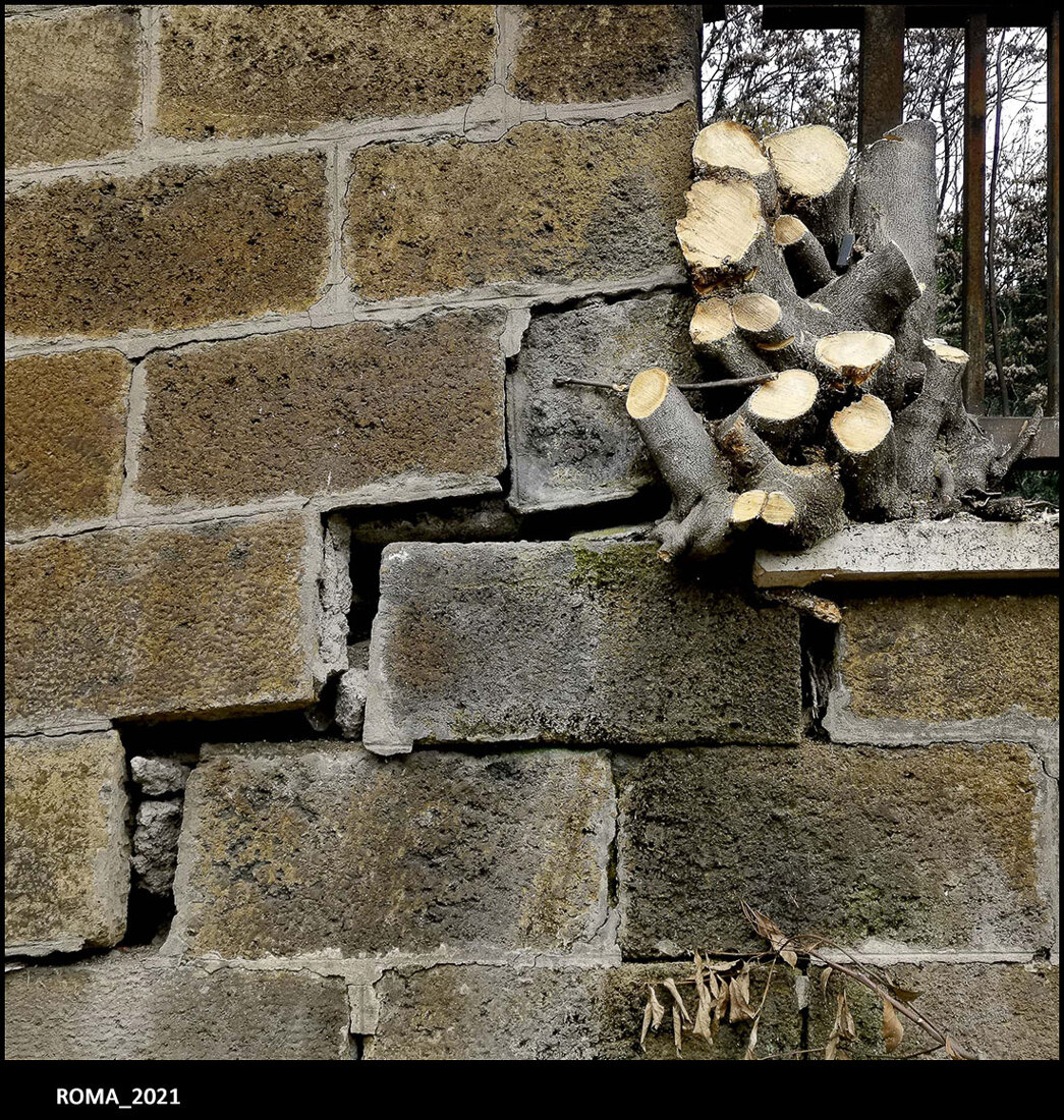 26_roma_2021.jpeg 26_roma_2021.jpeg