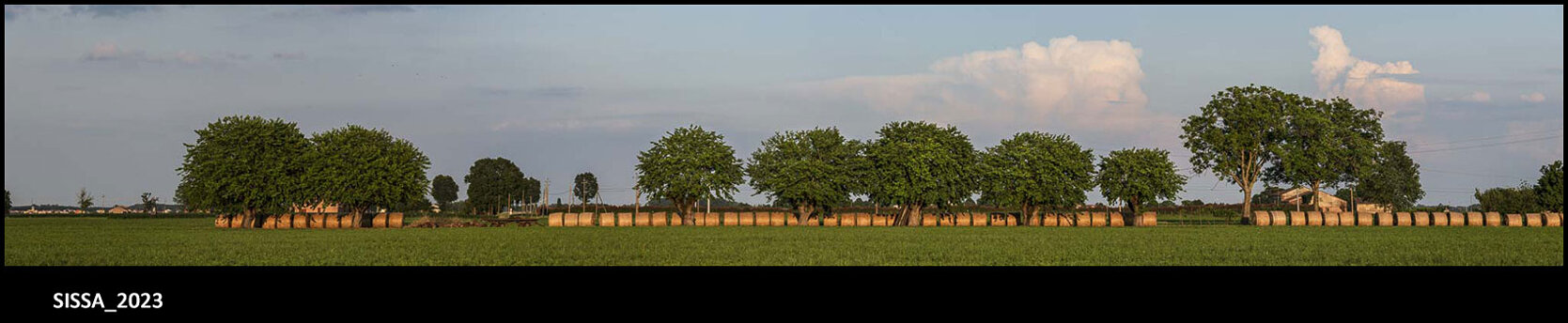 13_sissa_2023_02.jpeg 13_sissa_2023_02.jpeg