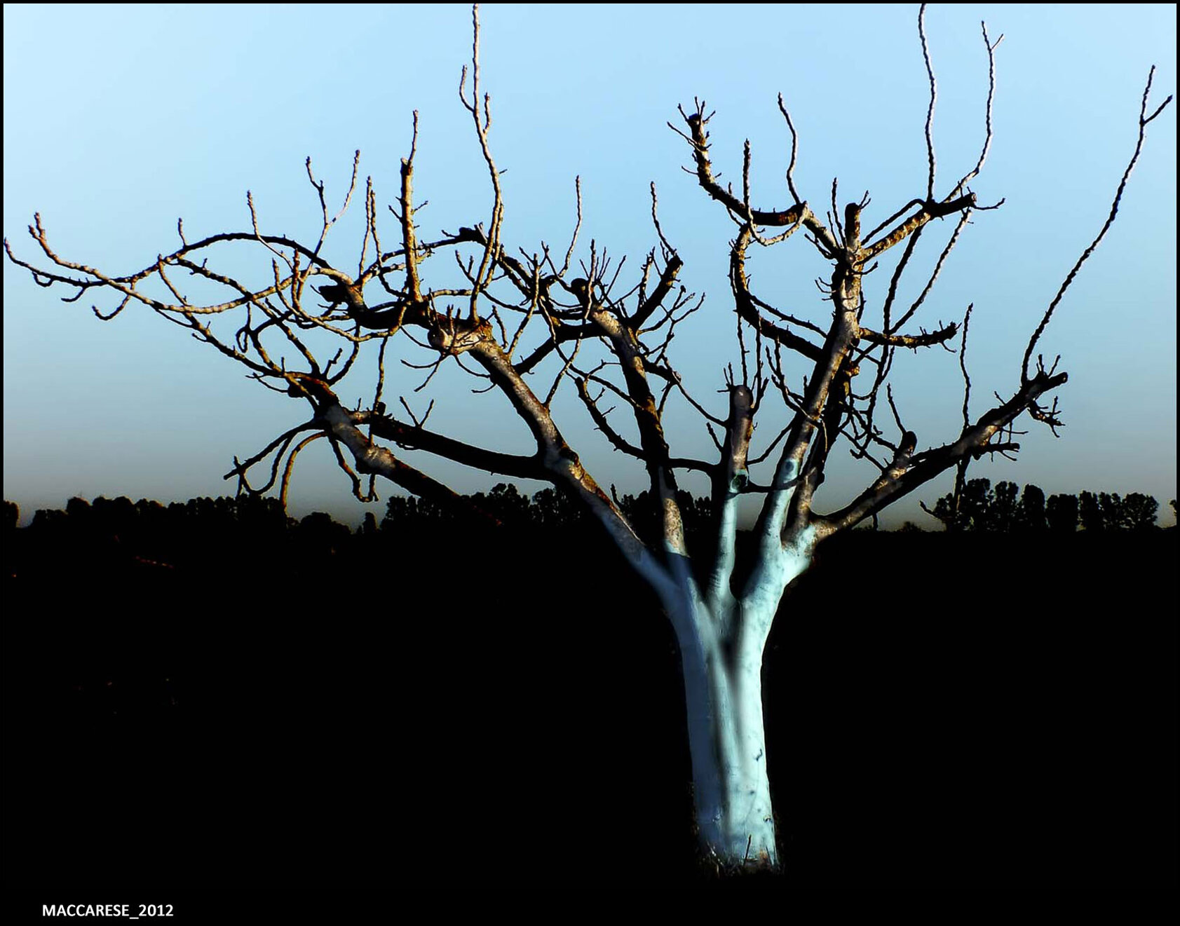 03_maccarese_2012.jpeg 03_maccarese_2012.jpeg