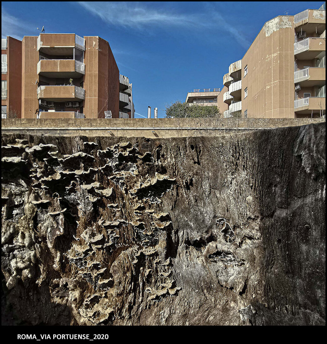 25_roma_via portuense_2020.jpeg 25_roma_via portuense_2020.jpeg